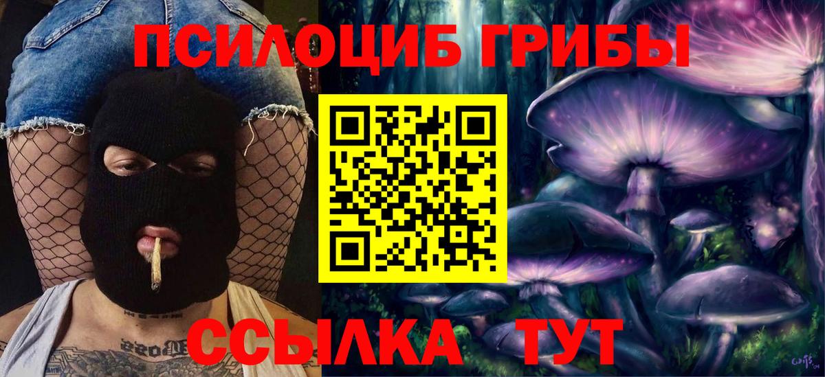 Псилоцибиновые грибы прущие грибы Благовещенск