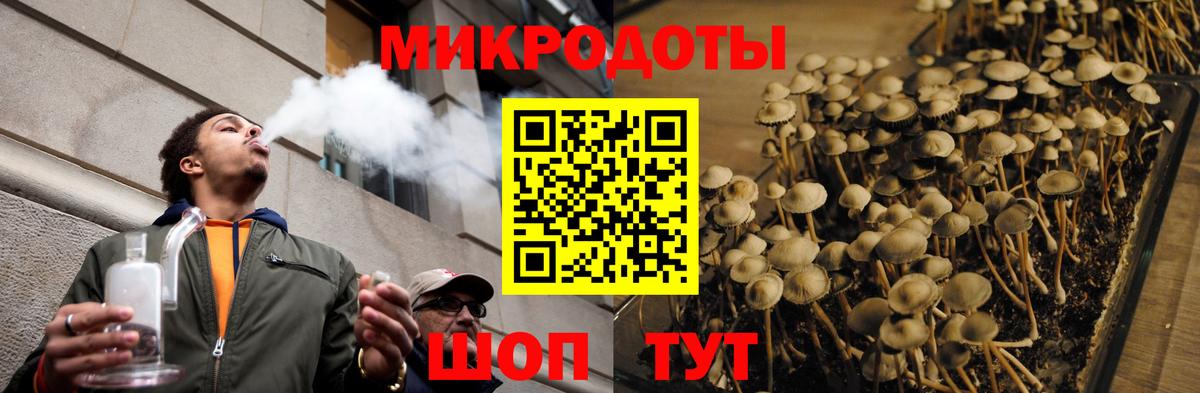 Псилоцибиновые грибы прущие грибы  где можно купить   Галлюциногенные грибы прущие грибы  Благовещенск  Вход с VPN 